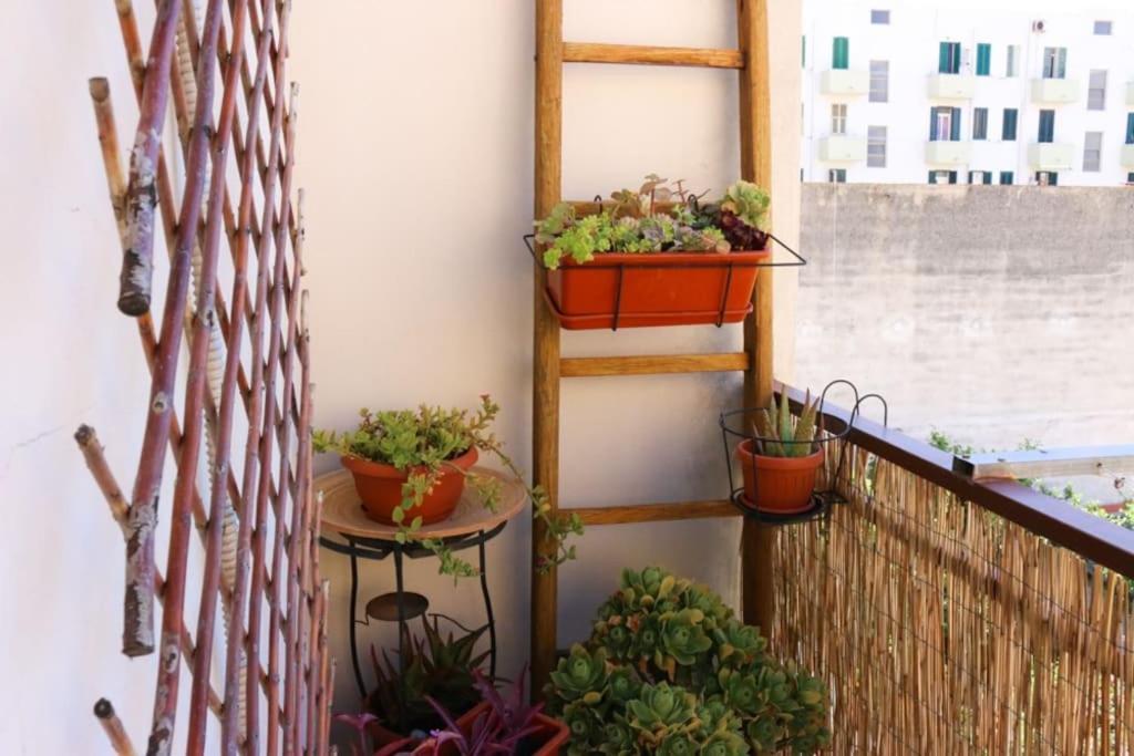 Blu Apartment, Alghero, Near Beaches Alghero